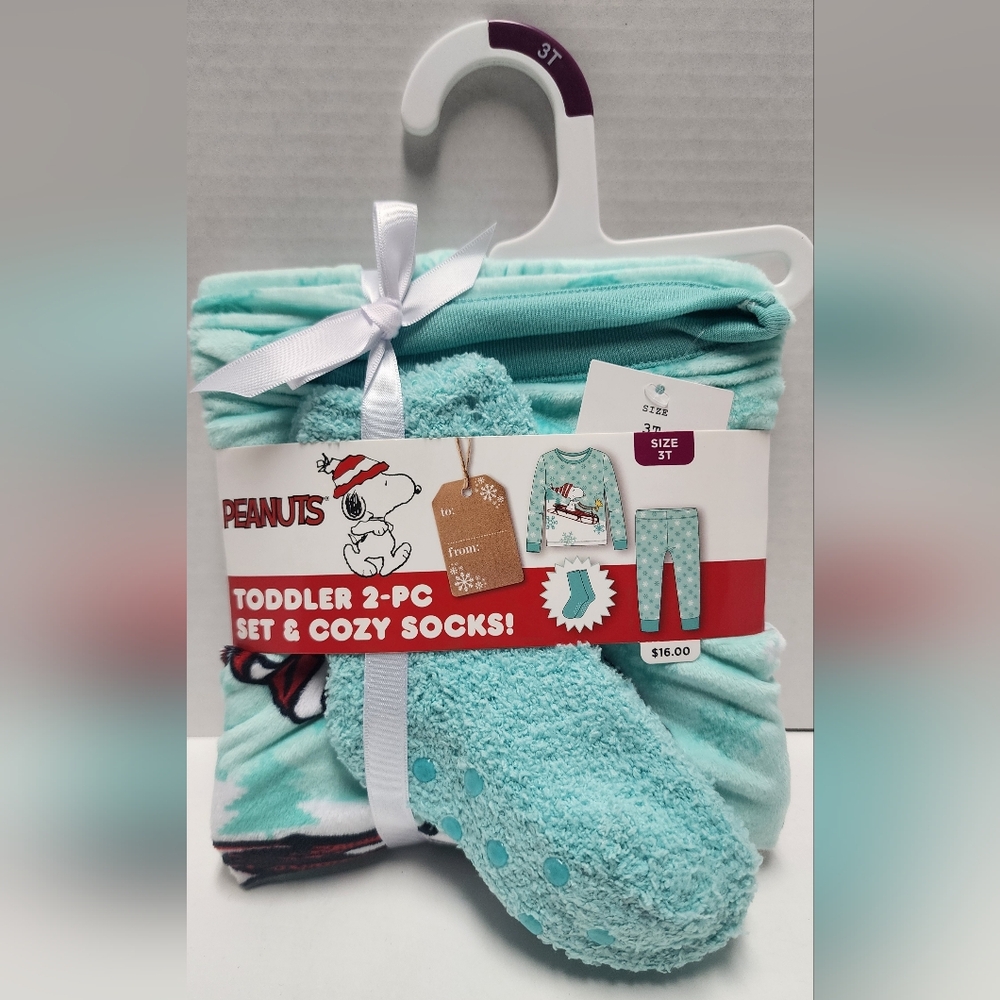 3T Toddler 2pc Snoopy Snuggly Soft Pajama Set Socks Aqua Blue Top Pants New